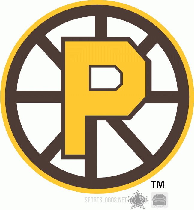 Providence Bruins 2009 10 Alternate Logo vinyl decal